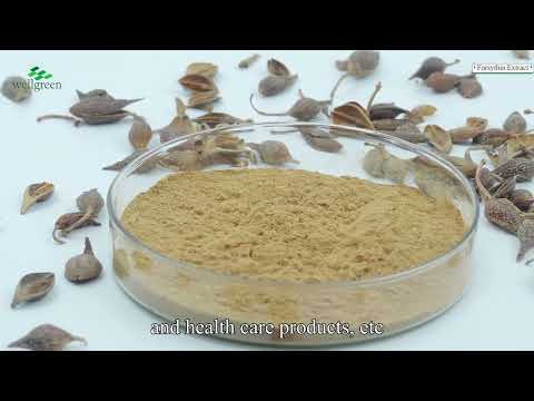 Forsythia extract powder, packaging type: bottle