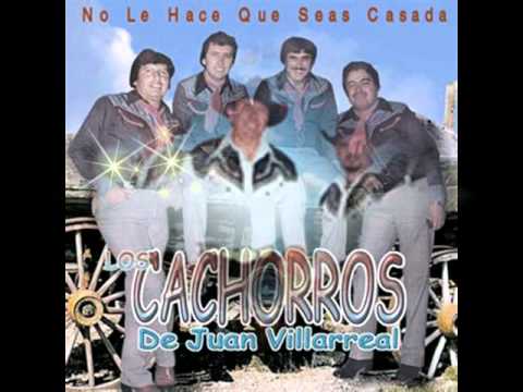 LOS CACHORROS -mix.avi