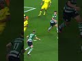 Será Este O Melhor Golo Da Liga ️ Golo Sporting Nunosantos Futebol Golodeletra Kapinha