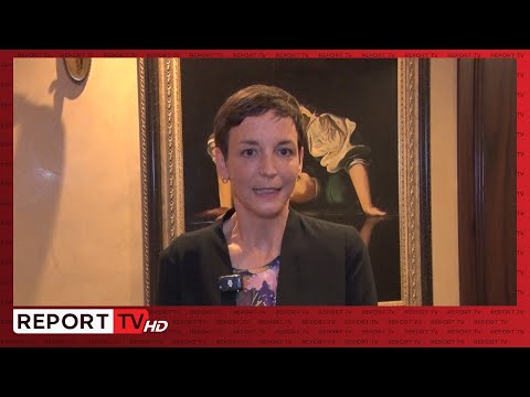 Ambasadorja austriake: Progresi i Shqipërisë është i dukshëm por rruga drejt BE-së është e gjatë