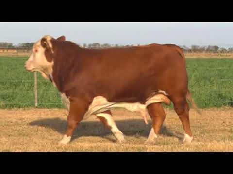 RIO4AGRO PROGRAMA 05 07 BLOQUE 2