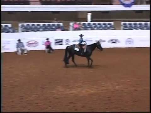 ODE TO ZIPPO     HORSEMANSHIP