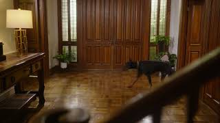 Quick Shine Floor Polish 15 VOE Restore Protect Hardwood LVT Tile