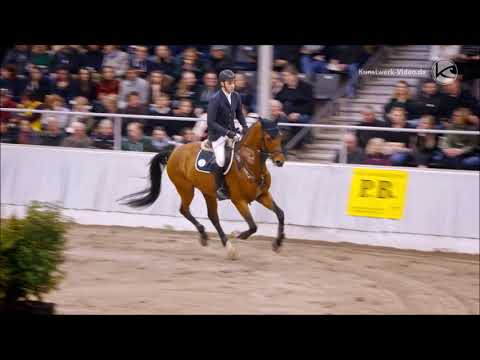 Burghof-Hengst Chilano Blue (v. Chacco's Son I x Carenzo)