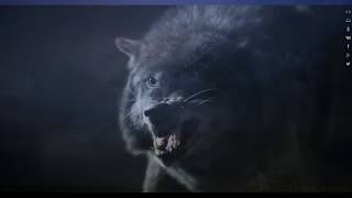 Blackmore&quot;s  Night - Storm