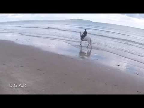 Portmarnock Beach, Dublin, Ireland HD