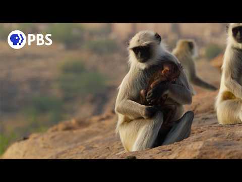 She’s Pregnant — But Not Ready to Be a Mom