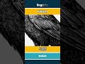 raven - 乌鸦 video thumbnail