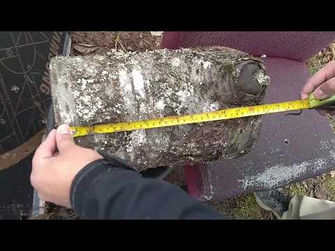 .458 Lott 550 grain FMJ Wood Penetration Test #1