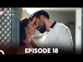Perfect Groom Episode 18 | English Subtitles