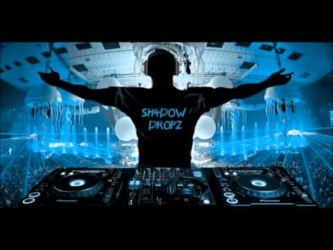 Turn Up The Prutataa (Sh4dow Dropz Bootleg) - Chris Brown, DJ Pauly D & Artistic Raw Vs. Dada Life