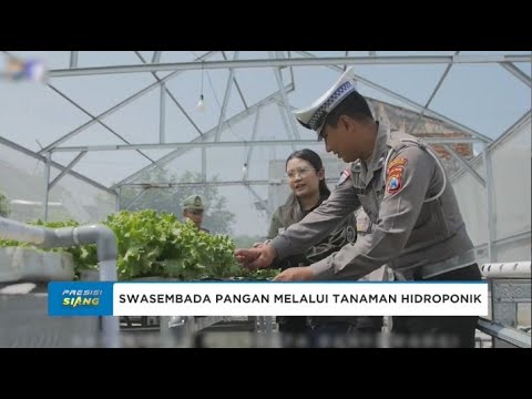 SATLANTAS POLRESTA BANYUWANGI SWASEMBADA PANGAN MELALUI TANAMAN HIDROPONIK