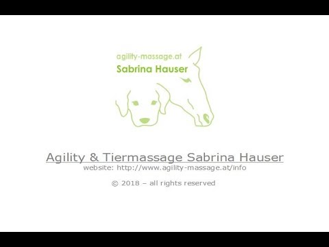 Agility Courses by Sabrina Hauser - 11.03.2018 / Agility 3