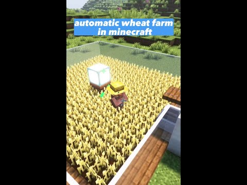 Compy - Minecraft: Automatic WHEAT Farm | #shorts  #minecraft