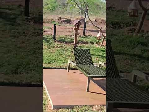 PARAÍSO EM ALTINÓPOLIS " RESERVA DA MATA "INTERIOR DE SÃO PAULO.