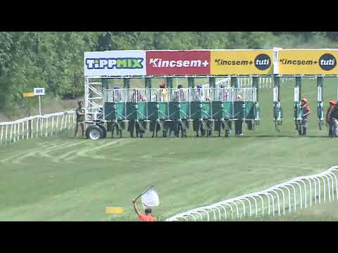 2023.05.28 1. FUTAM - PÜNKÖSDI DÍJ - NYERETLEN KÉTÉVESEK VERSENYE (IV.KAT.)