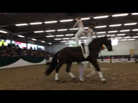 VV Volmerdingsen Deutscher Voltigierpokal 2016 Kür Samstag