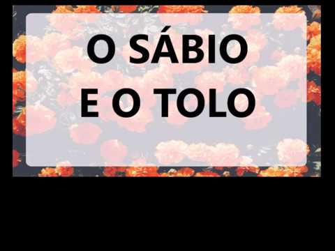 O Sábio E O Tolo video
