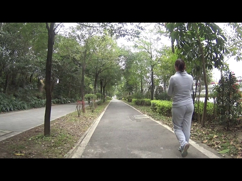 shenzhen street bicycle Feb 10 2017