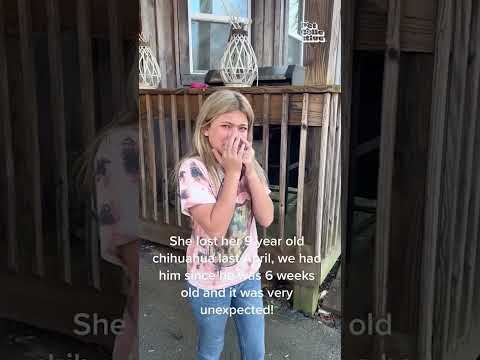 Little Girl Cries Happy Tears After Meeting New Puppy!