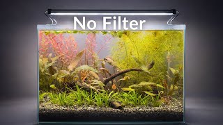 I Built a No Filter Planted Nano Aquarium for Tiny Fish
