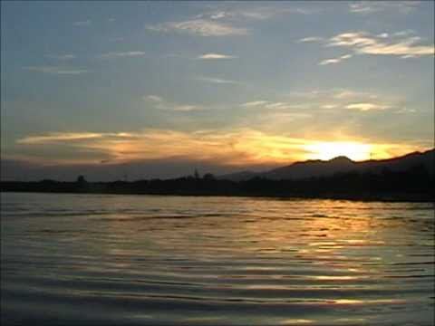 Bali Video 10/ Delfine