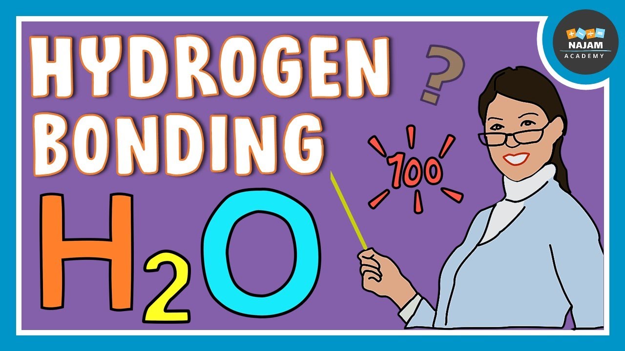 Hydrogen Bonding | Chemistry