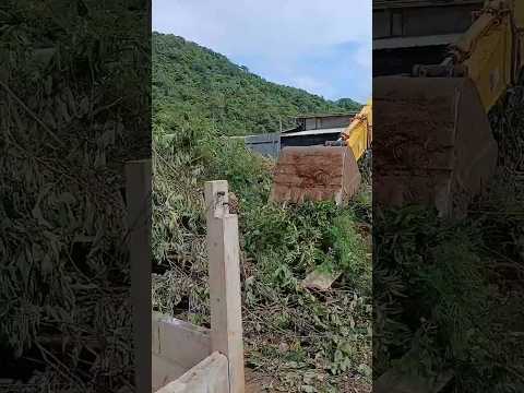 บอกกล่าวเจ้าที่เจ้าทางเสร็จลุยถางป่าได้เลยครับเดี๋ยวสวยที่ตรงนี้  #excavator #xcavator #shorts