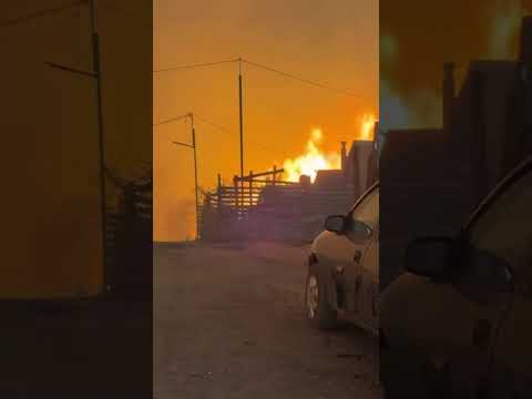 17.01.26 Gran incendio forestal afectando viviendas en la Octava Región del Bio Bio. www.cie24-7.cl