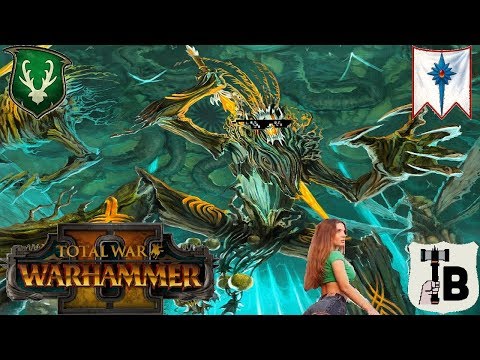 They Want His Wood! Player Durthu! - Wood Elves vs High Elves | Total War Warhammer 2 Quick Battle