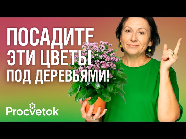 ПОСАДИТЕ ЭТИ ЦВЕТЫ ПОД ДЕРЕВЬЯМИ! &laquo;Задушат&raquo; сорняки и преобразят любой сад