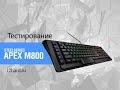 Клавиатура STEELSERIES Apex M800 64173 - видео