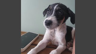 Download lagu Separuh Jiwaku mp3 Download lagu Separuh Jiwaku mp3