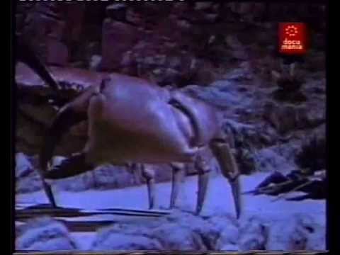 Julio Verne el escritor que predijo el Futuro