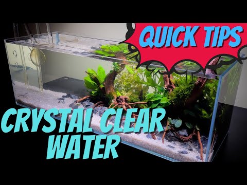3 Tips for CRYSTAL CLEAR Aquarium Water!