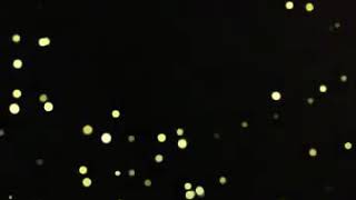 Hannah Cherelle - Let Your Loss Be Your Lesson (Robert Plant &amp; Alison Krauss)