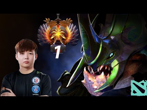 RANK 1 NTS SHOWS HOW TO DOMINATE MID LANE WITH PRIMAL BEAST