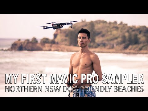 download lagu mp3 mp4 Dog Friendly Beaches Northern Nsw, download lagu Dog Friendly Beaches Northern Nsw gratis, unduh video klip Dog Friendly Beaches Northern Nsw