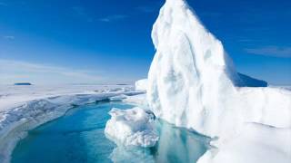 Nissebanden i Grønland - Isbjerge