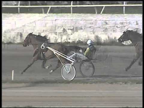 Trotto 01/03/2015 - 2° corsa