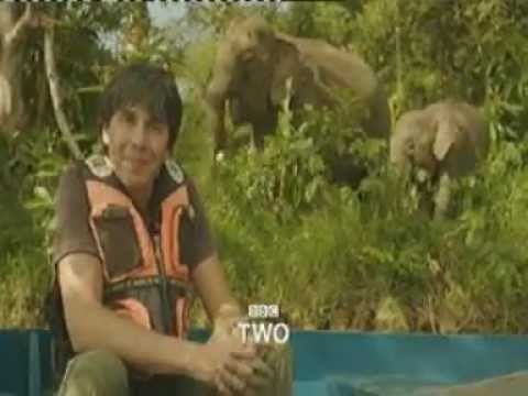 Eric Idle / Brian Cox - The Galaxy Song / Wonders of Life trailer 2013