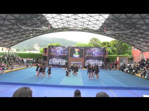 LADYS FANTASY CLOVERS ALL STARS