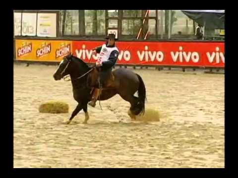 LOTE 041 BUZZO DA MAYA