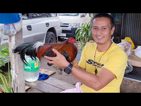 Livestrong Gamefarm | Jeyshi Dimafelix