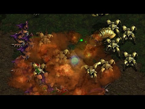 SUNDAY! Nibbler! Bigwan! 2 FFA! FME! UMS! - StarCraft Brood War - 2025