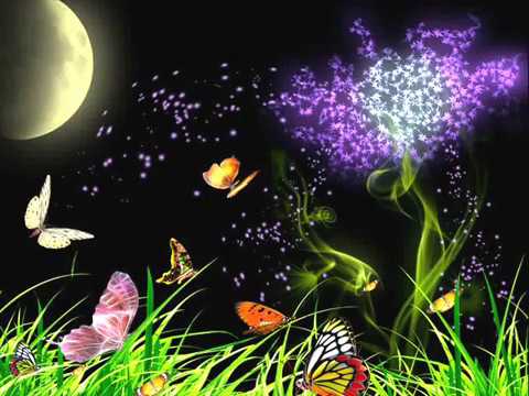 Moonbeam and Jan Zyabovski - Liveliness (original mix).