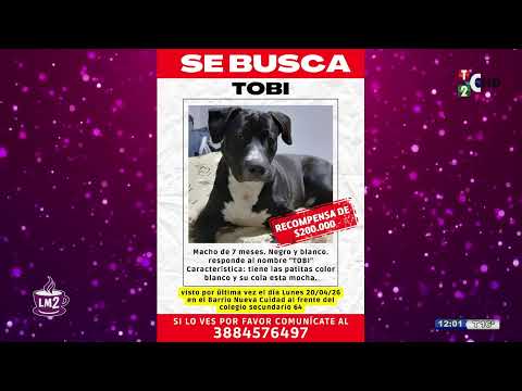 Canal 2 Perico   - Programa y Noticias