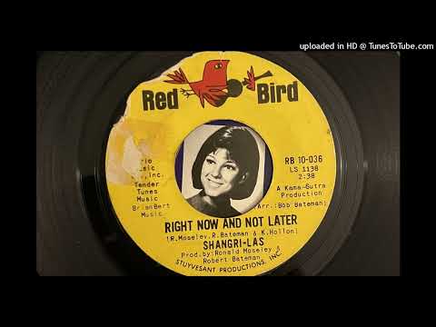 The Shangri-Las - Right Now and Not Later (Red Bird) 1965