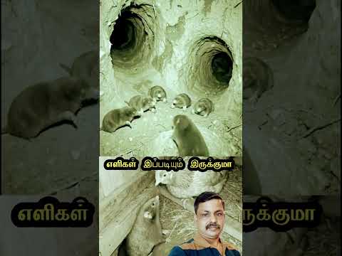 இது ஒரு  ஐ ஆக  இருந்தாலும்  பார்க்க  நல்லா  இருக்குள்ள # #shortvideo