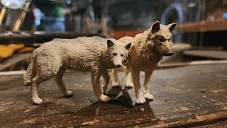 【オーストラリア】元狼との共存